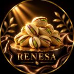 pista renesa - Copy